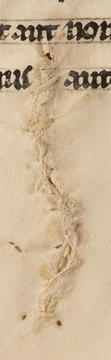 A close up of the mend made in the parchment. 