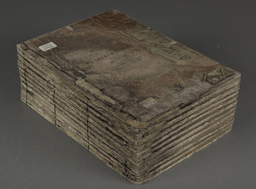 A mold-damaged book before treatment.