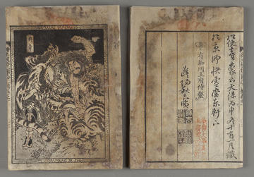 An open spread of a mold-damaged book with illustrations.