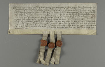 A parchment document after treatment with the crease flattened and the tags and wax seals repaired.