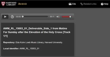 Screenshot of Audio Player