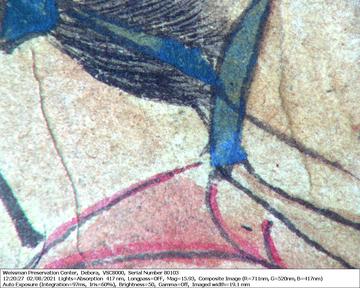 fig11_5642-ill2-spot7-16x.jpg