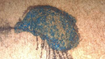 fig7_azurite_ill2_topknot17x.jpg