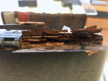 A side view of a split wooden board.