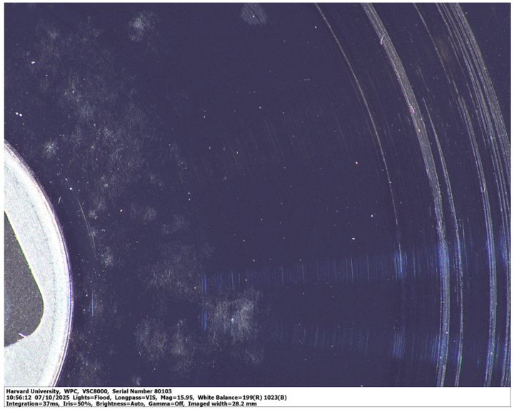 Photomicrograph of a disk with heavy mold and scraping damage, zoomed in to see the mold growth and scraping damage.