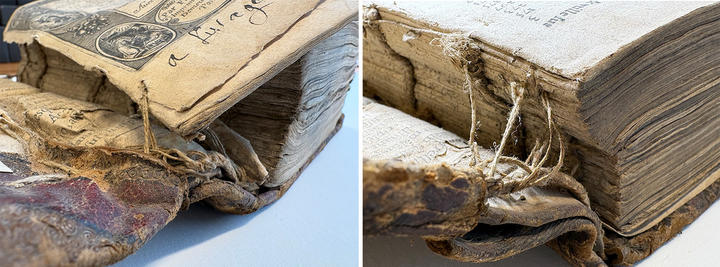 Detail images of the spine of a book. 