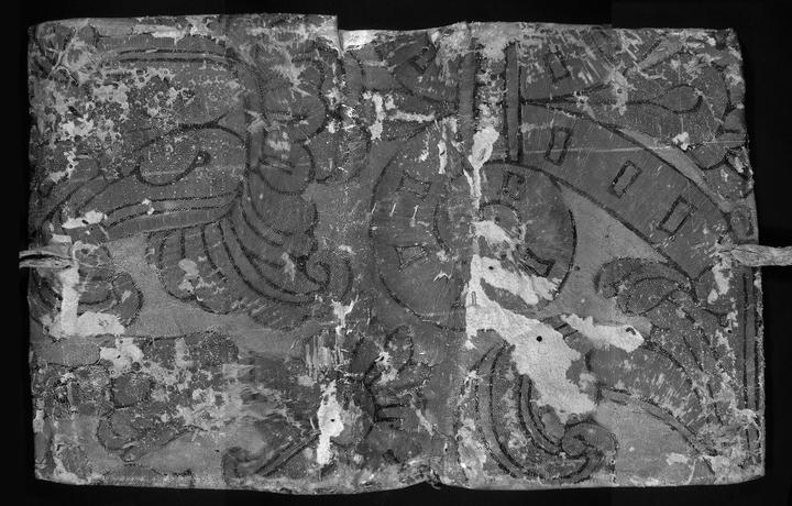 Infrared image of an open book cover. 