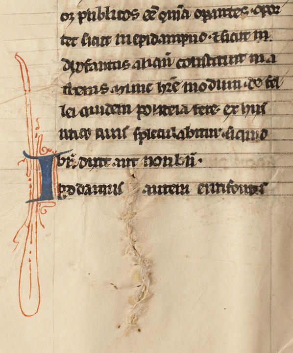 A mend in a piece of parchment that was made before the text was written. 