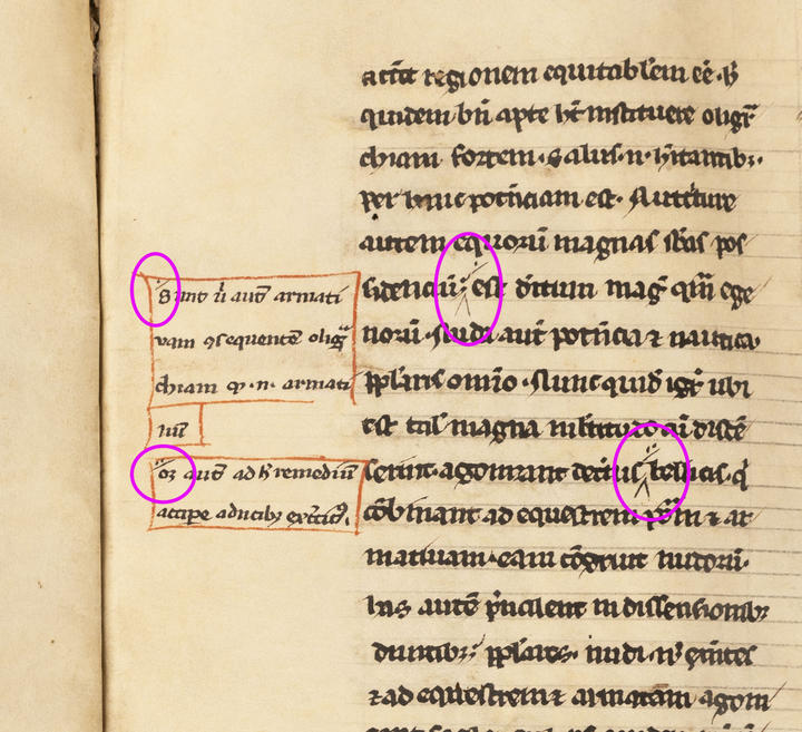 Additions or comments on the manuscript text made in a different hand. 