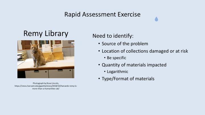 Rapid Assessment Exercise: id source of the problem; location of collections damaged or at risk;quantity/type of materials.