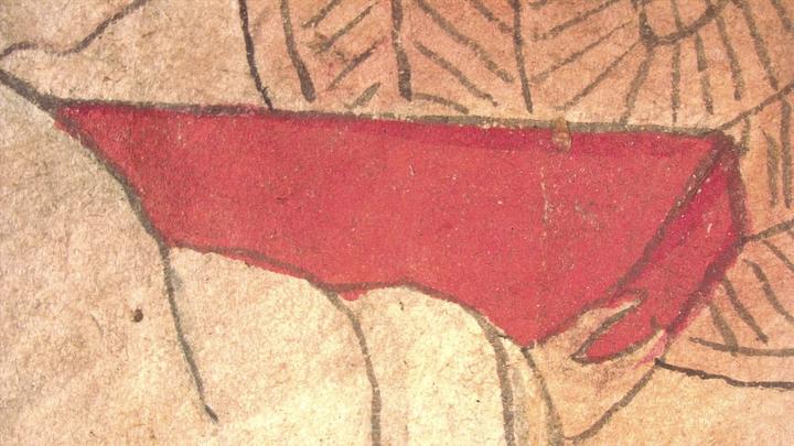 fig3_vermillion_ill2_tray4x.jpg