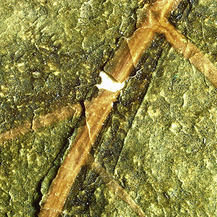 A detail from the peach painting of flaking paint. 