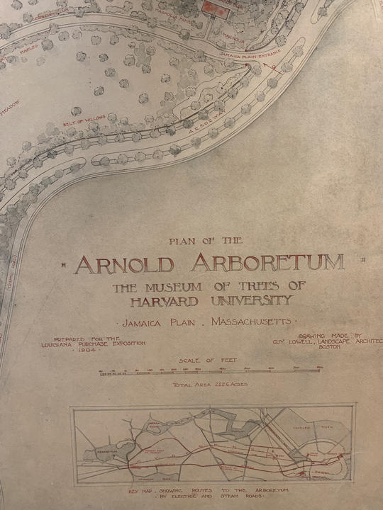 A close-up of a title and key on a watercolor map.