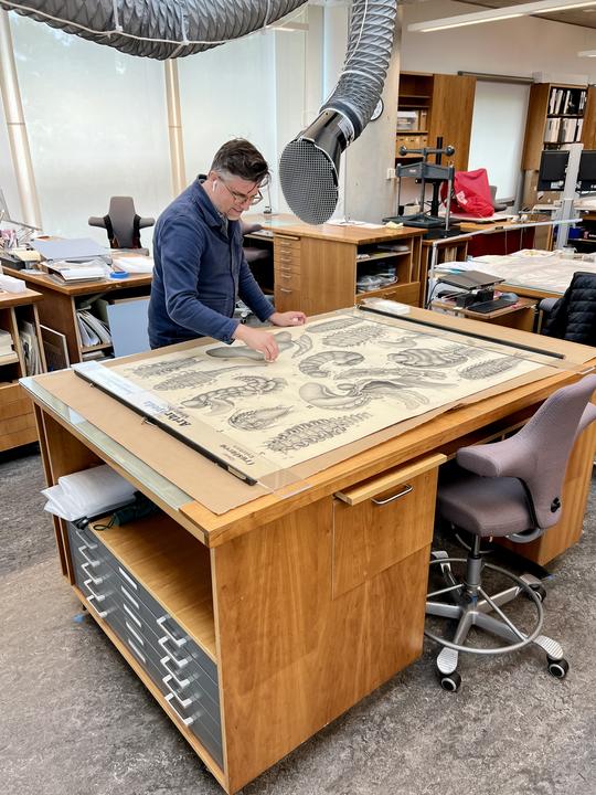 A person surface cleaning a large, unrolled chart. 