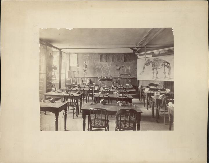 A photograph from the late 19th century showing a classroom with a large hanging chart of a mastodon at the front of the room. 