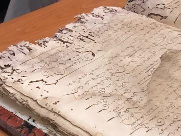 mold and insect damaged manuscript
