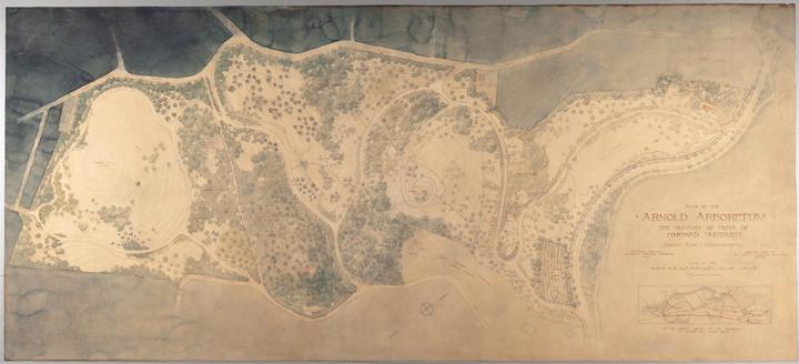 A watercolor map of the Arnold Arboretum.